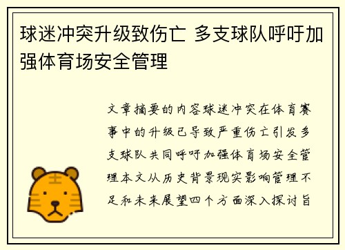 球迷冲突升级致伤亡 多支球队呼吁加强体育场安全管理